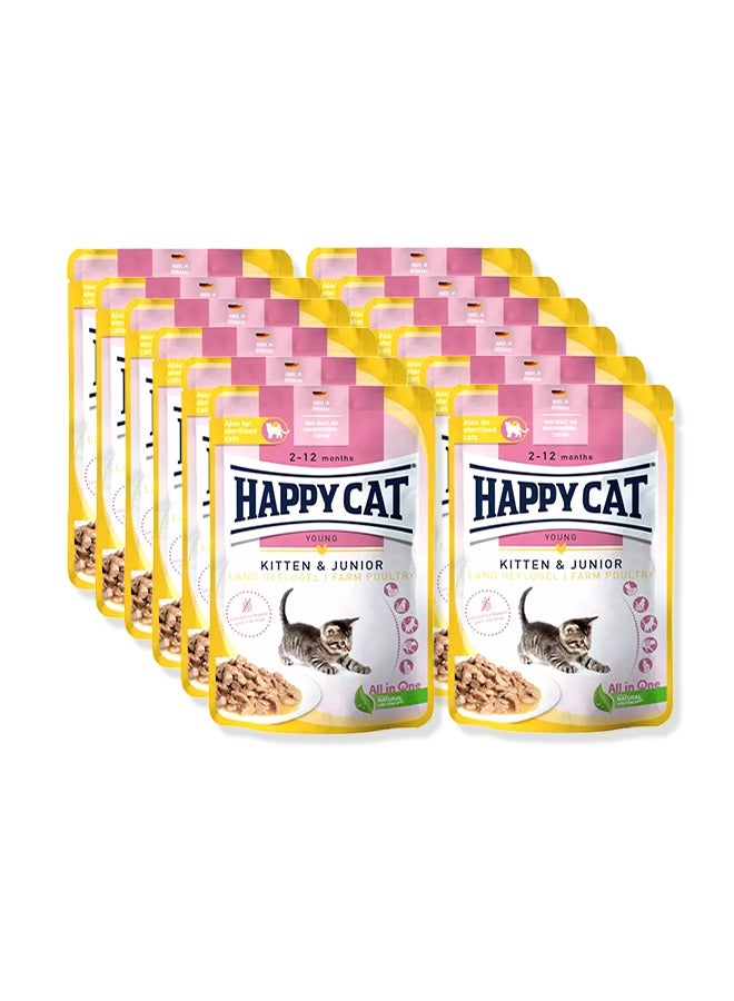 Culinary Kitten And Junior Farm Poultry Wet Food For Cat - (Pack Of 12 )