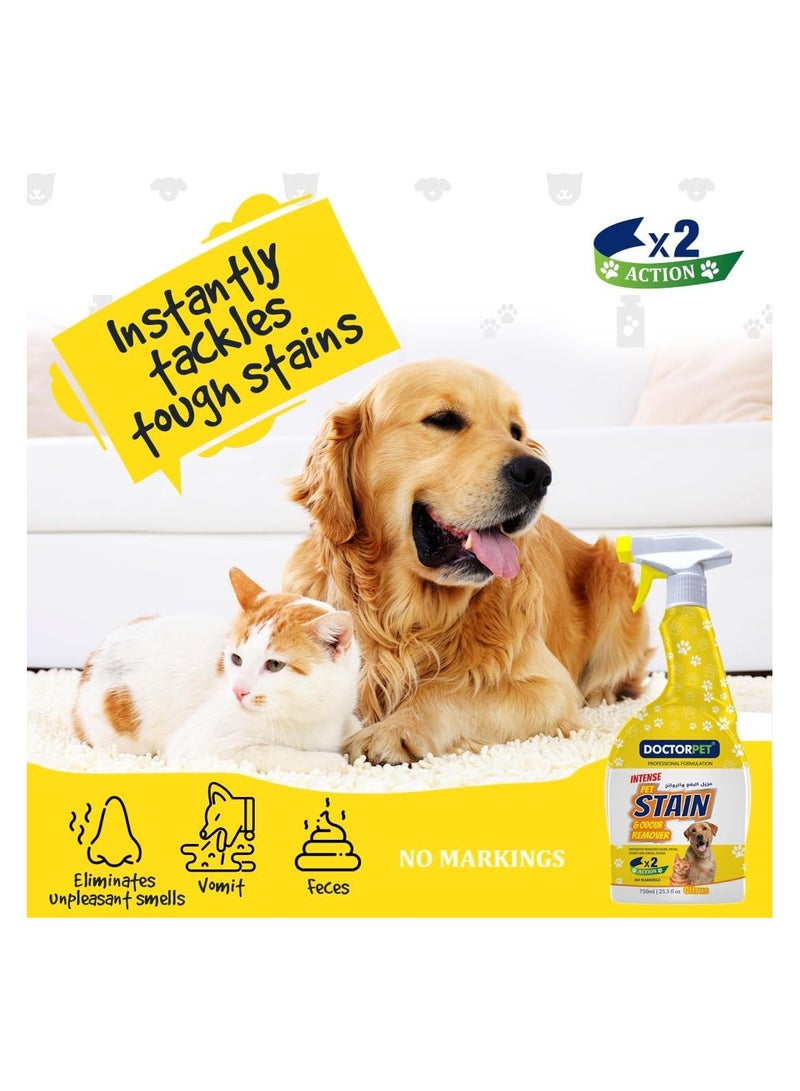 DoctorPet Stain and Odour Remover Citrus - 750ml