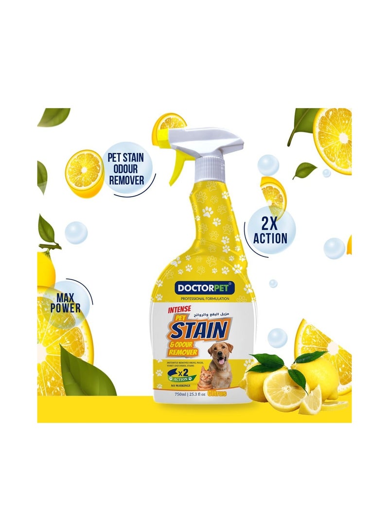 DoctorPet Stain and Odour Remover Citrus - 750ml