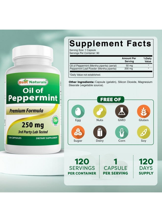 Best Naturals Peppermint Oil Bowel Soothing Dietary Supplement, 250 Mg, 120 Count