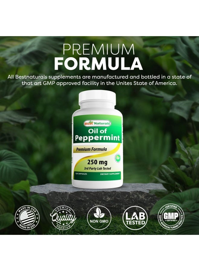 Best Naturals Peppermint Oil Bowel Soothing Dietary Supplement, 250 Mg, 120 Count