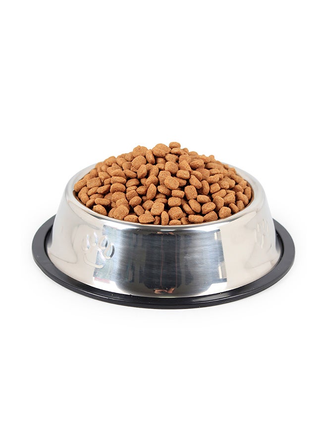 Anti-Skid Thickening Feeding Supplies Pet Bowl Silver 18x18x4.5cm