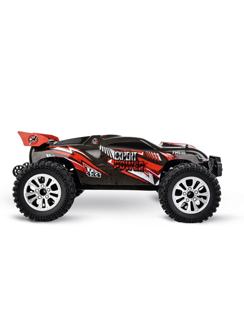 RC EXPERT BRUSHLESS BUGGY 1:10