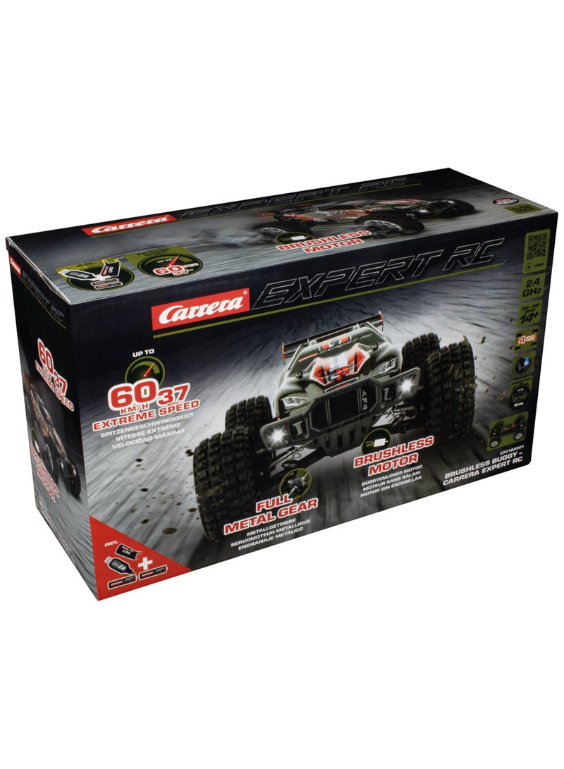 RC EXPERT BRUSHLESS BUGGY 1:10