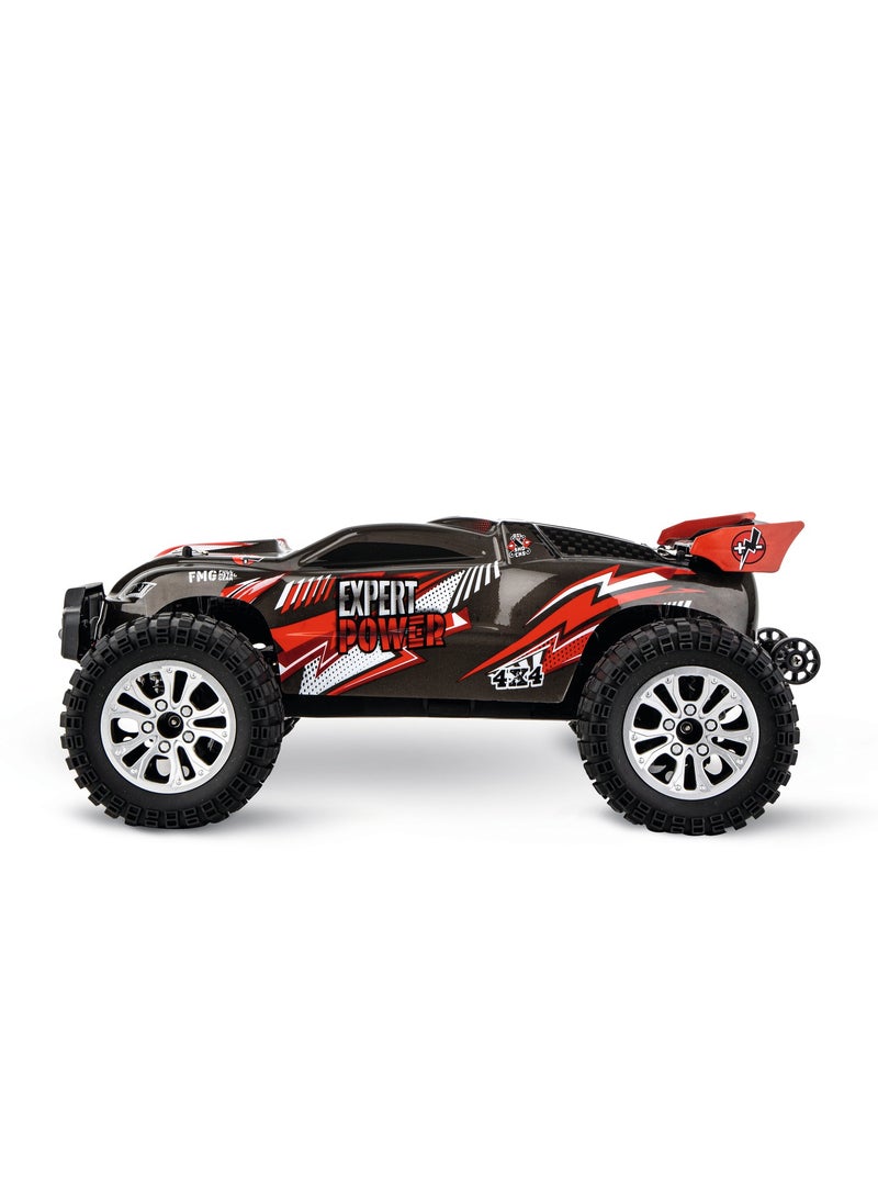 RC EXPERT BRUSHLESS BUGGY 1:10