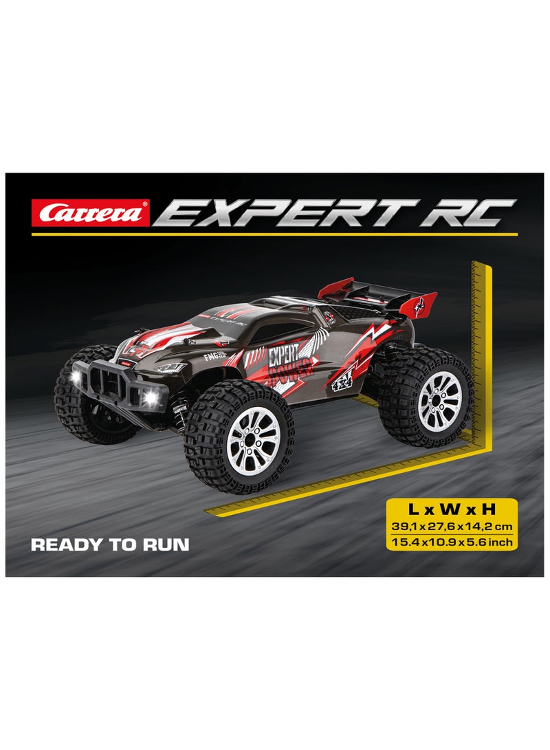 RC EXPERT BRUSHLESS BUGGY 1:10