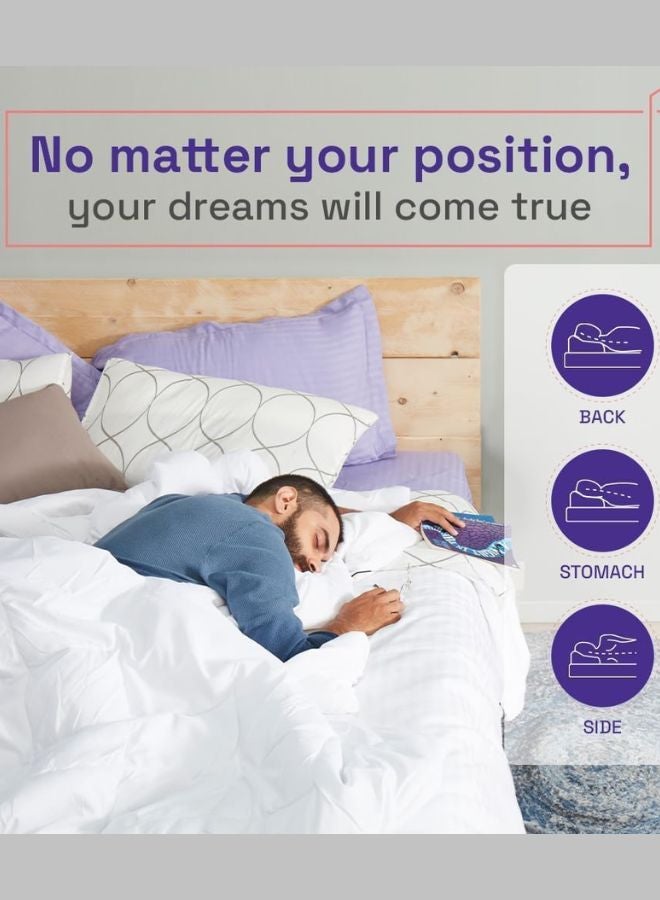 Wakefit Hollow Fibre Pillow (White and Grey, 27 x 16 Inches, Microfiber)