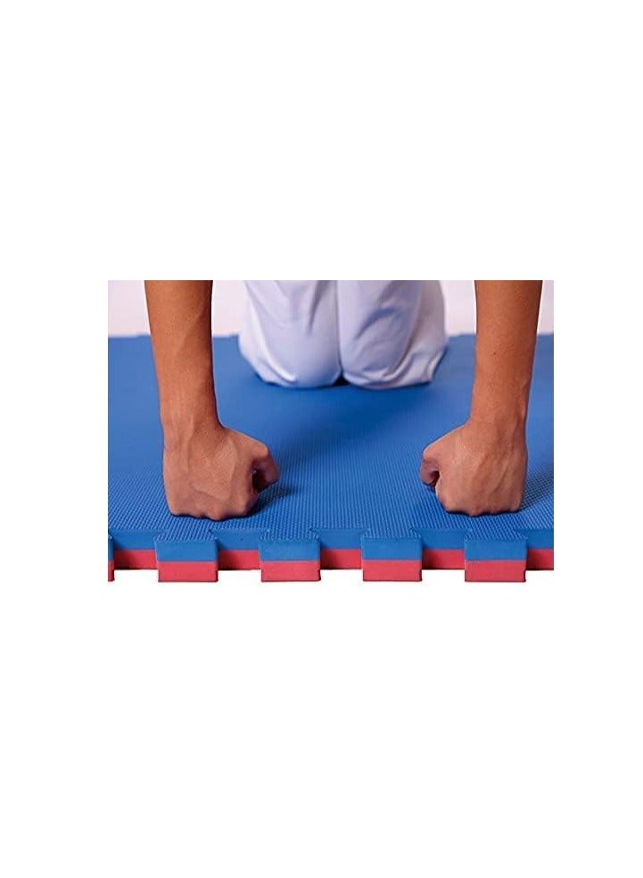 Exercise Mat for Tumbling, MMA, Martial Arts, Gymnastics, Judo, Stretching, Core Workouts 4cmX100cmX100cm