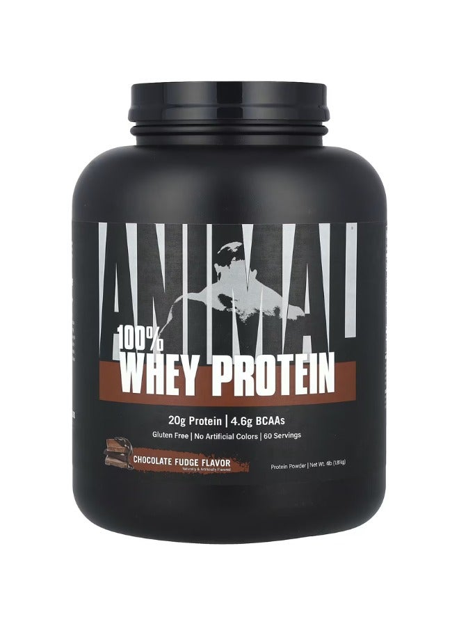 Animal 100% Whey Protein Powder Chocolate Flavour 4Lb