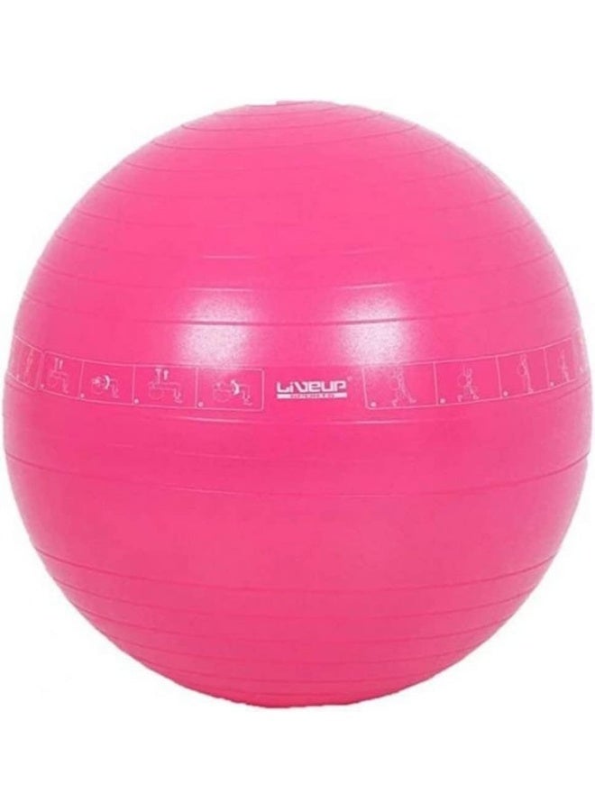 Mesuca MBD21311 Yoga Ball, 65 cm Size, Purple