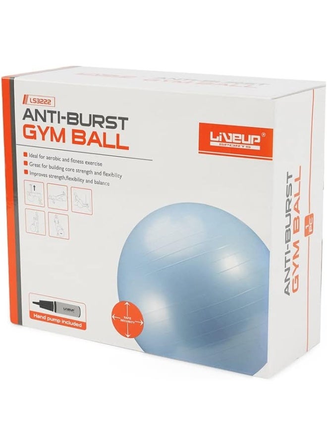 Anti Burst Gym Ball Ls3222 65Cm