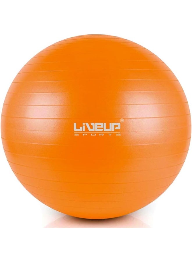 Anti Burst Gym Ball Ls3222 65Cm