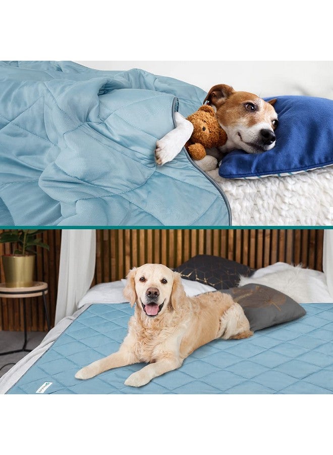Premium Cooling Dog Blanket | Lightweight Fluffy Pet Throw Blanket Bed Cover For Dogs, Cat, Puppies | Pet Blanket Furniture Protector Couch Sofa | Reversible Fuzzy Cozy | 29X40, Dusty Blue