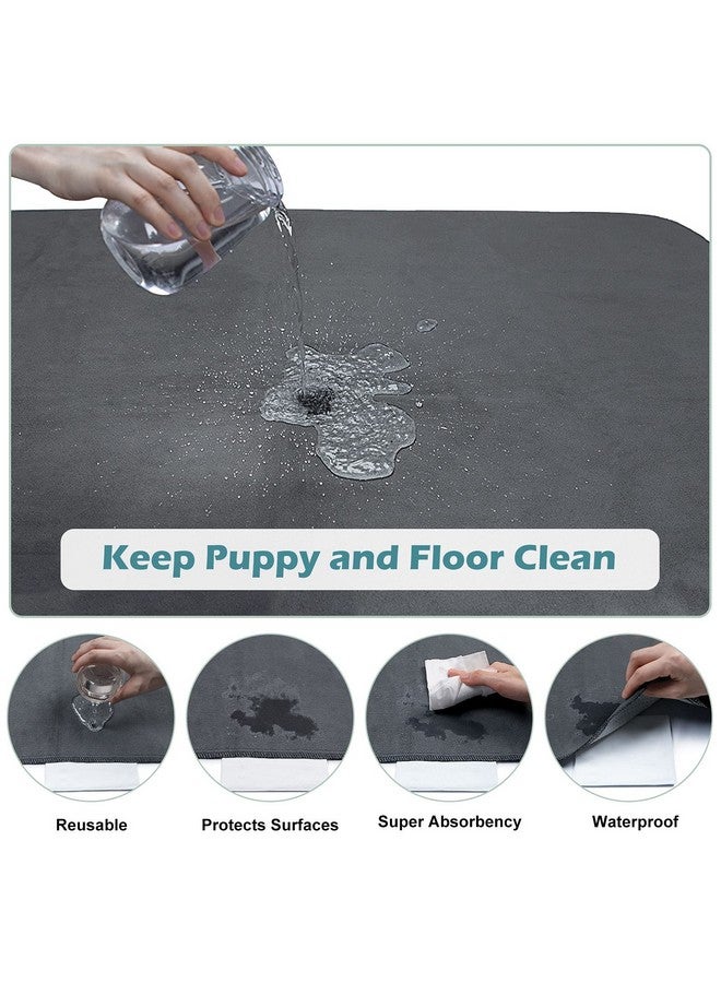 Washable Pee Pads For Dogs 72