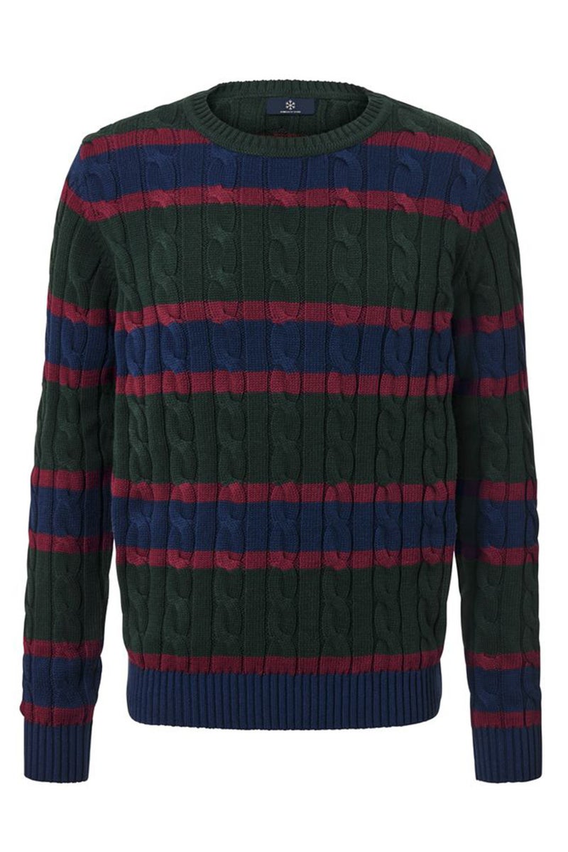 Men Crew Neck Long Sleeves Stripe Sweater, Green Combo