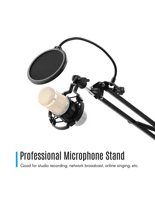 Adjustable Foldable Microphone Stand I-05916 Black