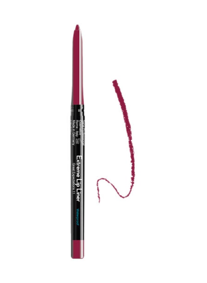 Extreme Lip Liner Great Expectations