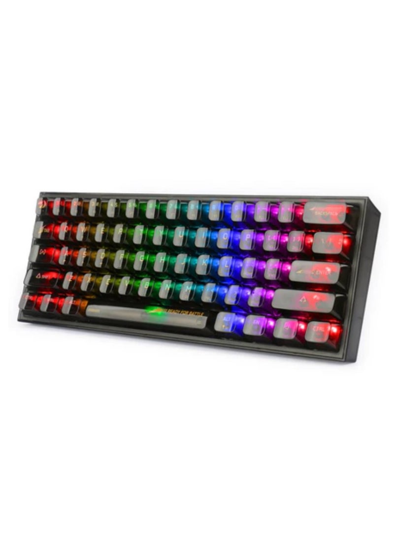 K617CTB-RGB 60% Wired RGB Gaming Keyboard, 61 Keys Compact Full-Transparent Mechanical Keyboard