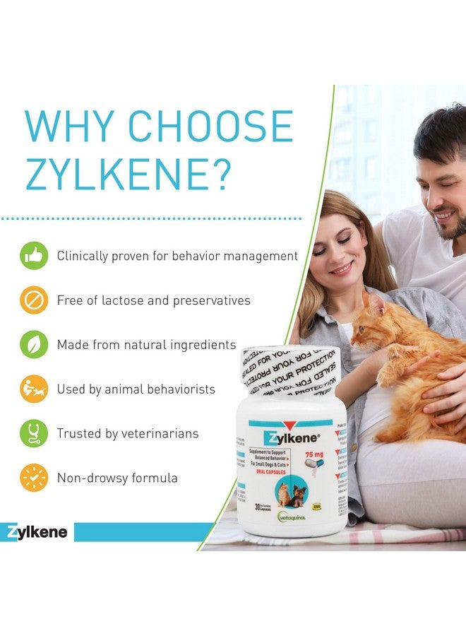 Zylkene Calming Support Supplement For Small Dogs And Cats, Helps Promote Relaxation And Reduce External Stress Factors, Daily Behavioral Support And Anxiety Relief For Dogs And Cats, 75Mg