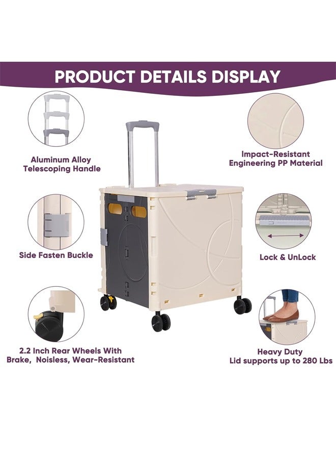 Portable Folding Trolley With Wheels, Shopping, Grocery Shopping, Camping, Very Convenient, Beige/Gray