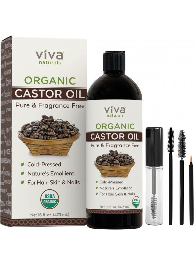 Organic Castor Oil For Eyelashes And Eyebrows - 16 Fl Oz, Usda Organic, Pure Hexane-Free Moisturizer Traditionally Used For Hair Growth, Natural Skin And Eyelash Serum, Cold Pressed With Beauty Kit