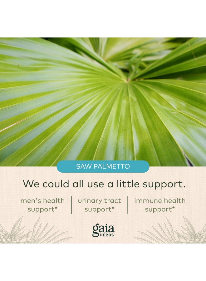 Gaia Herbs Saw Palmetto - Supports Healthy Prostate Function for Men - Contains Saw Palmetto and Sunflower Seed Lecithin to Support Mens Health - 60 Vegan Liquid Phyto-Capsules (30-Day Supply)