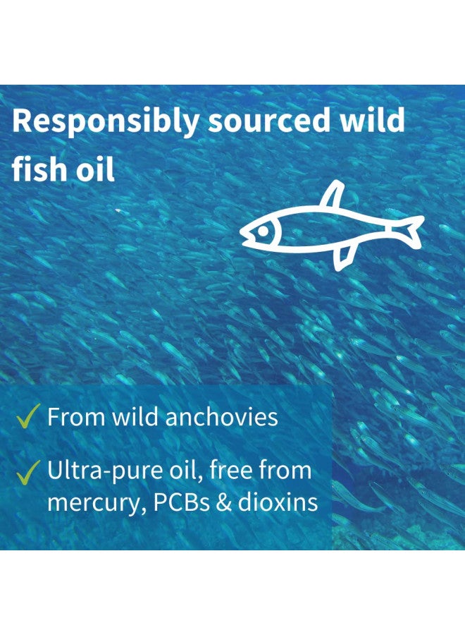 Vegepa Omega 3 Wild Fish Oil & Evening Primrose Oil Blend, 560 mg EPA Plus GLA, 60 Small Softgels