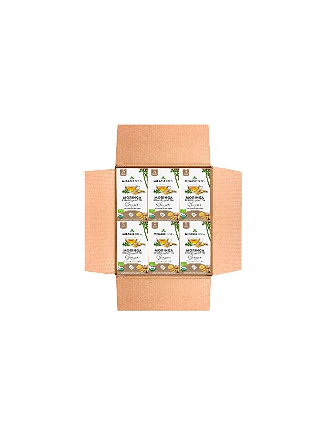 Miracle Tree - 6 Count of Organic Moringa Superfood Tea, 25 Individually Sealed Tea Bags, Ginger (Keto, Detox, Energy/Immunity Booster, Vegan, Gluten-Free, Organic, Non-GMO, Caffeine-Free)