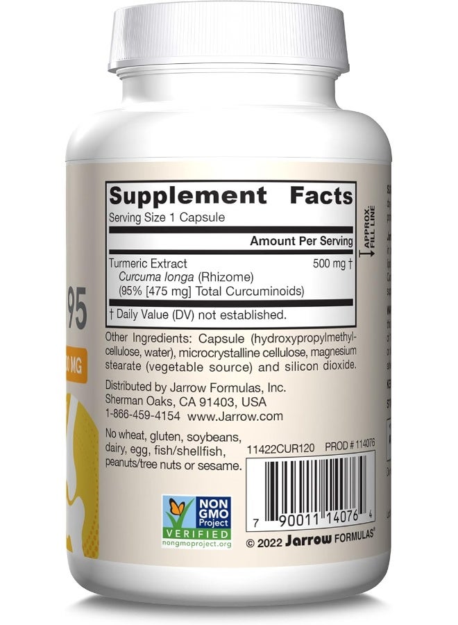 Jarrow Formulas Curcumin 95 500 mg, Turmeric Curcumin Extract for Antioxidant Support, Bone and Joint Support Dietary Supplement, 120 Veggie Capsules, Up to 120 Servings