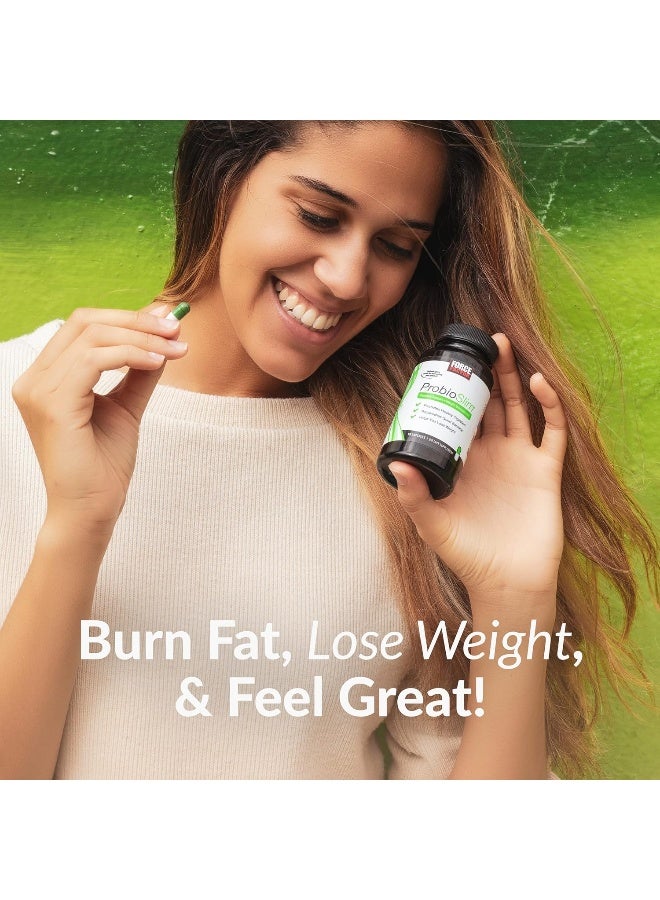 Force Factor ProbioSlim Probiotics for Women and Men, Probiotics for Digestive Health to Reduce Bloating, Gas, & Occasional Diarrhea, with Prebiotics, LactoSpore, & Green Tea for Energy, 60 Capsules