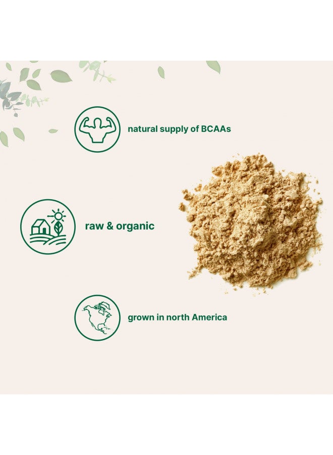 North America Grown, Organic Pea Protein Powder, 1KG (2.2 Pounds), Plant-Based Vegan Protein Organic, Rich in Branched Chain Amino Acids, Flavonoids and Minerals, No GMOs & Vegan Friendly