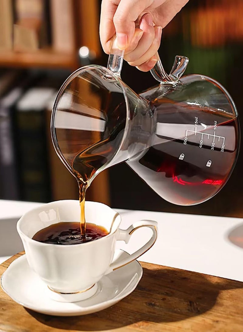 Borosilicate Heat Resistant Glass Coffee Server Pot with Filter For Pour Over Coffee Maker 500 ML