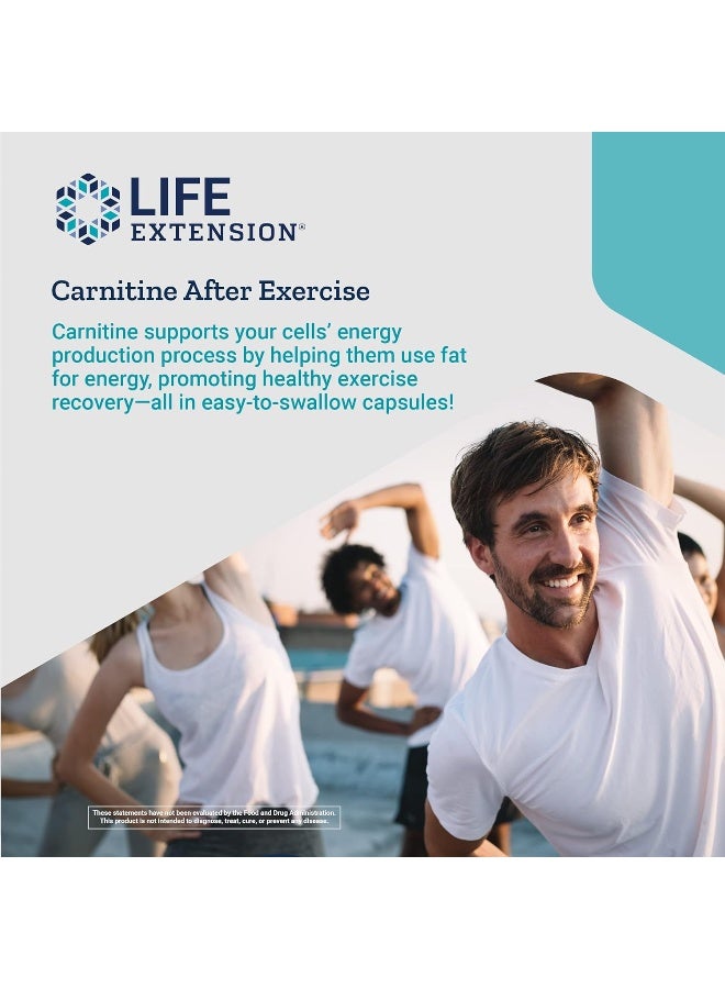 Life Extension Optimized Carnitine L-Carnitine Supplement - Supports Heart, Brain Health& Exercise Recovery Gluten-Free Non-GMO 60 Capsules