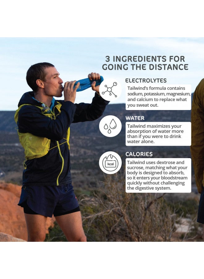 Tailwind Nutrition Endurance Fuel, Grab-and-Go Hydration Drink Mix with Electrolytes, Non-GMO, Free of Soy, Dairy, and Gluten, Vegan, Naked Unflavored, Pack of 12