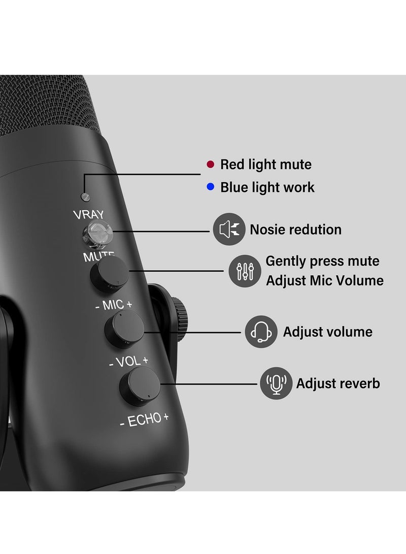 Jmary Multifunctional USB Recording Microphone (MC-PW8)