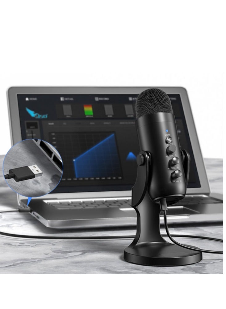 Jmary Multifunctional USB Recording Microphone (MC-PW8)