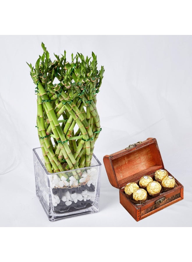 Wishes With Lucky Bamboo And Chocolates