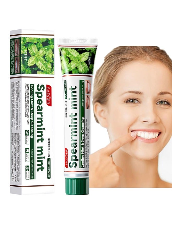 Spearmint mint Toothpaste，Fresh Toothpaste, Whitening Toothpaste , Clean Mint Toothpaste for Bad Breath, Helps Fight Cavities, Whitens Teeth, and Freshens Breath 100g