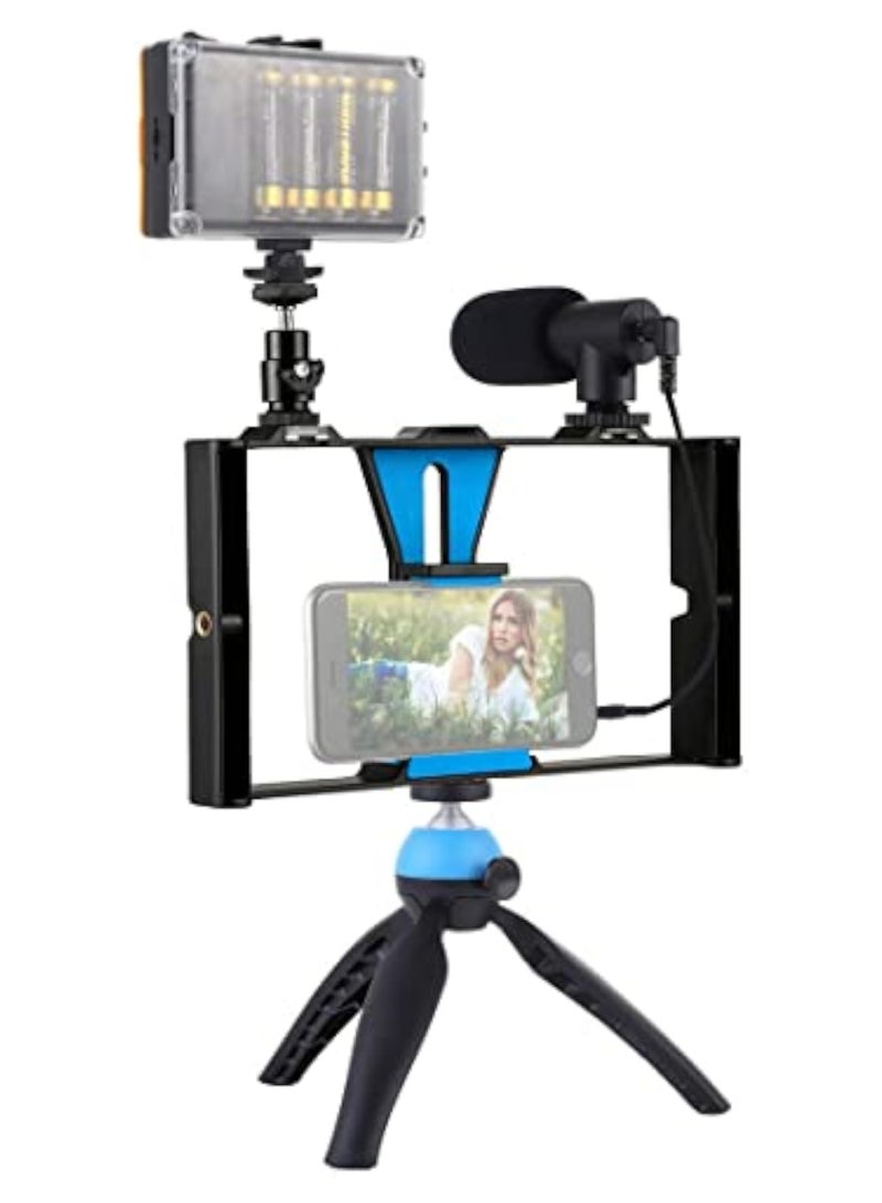 Video Rig Kit Including Smartphone Cage with 3 Cold Shoe Mounts + LED Video Lights + Microphone with Shock Mount Wind Screen + Desktop Tripod for Vlog Video Recording Live Streaming