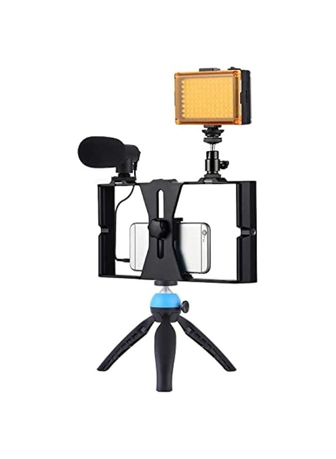 Video Rig Kit Including Smartphone Cage with 3 Cold Shoe Mounts + LED Video Lights + Microphone with Shock Mount Wind Screen + Desktop Tripod for Vlog Video Recording Live Streaming