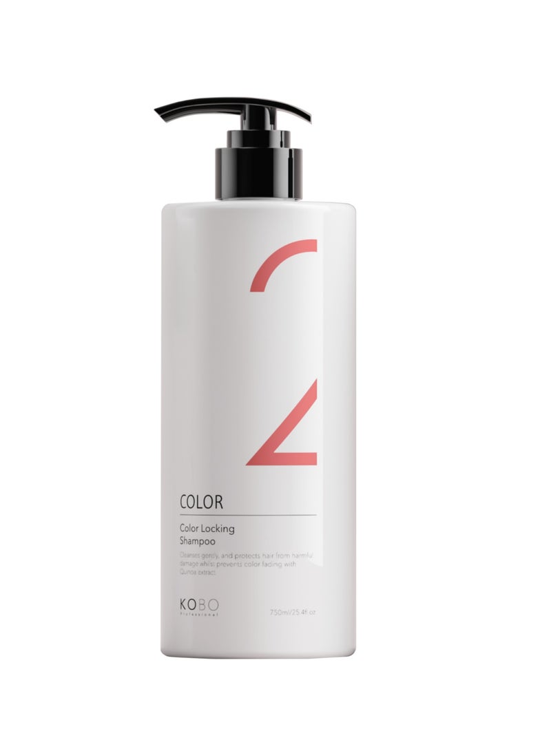2 COLOR LOCKING SHAMPOO 750ML