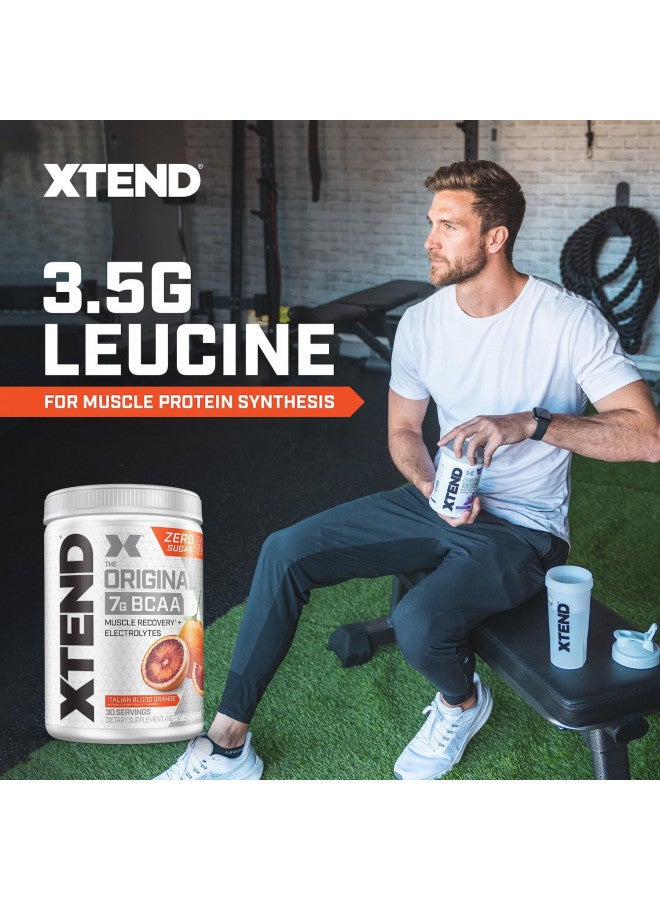 XTEND Original BCAA Powder Italian Blood Orange | Sugar Free Post Workout Muscle Recovery Drink with Amino Acids | 7g BCAAs for Men & Women | 30 Servings