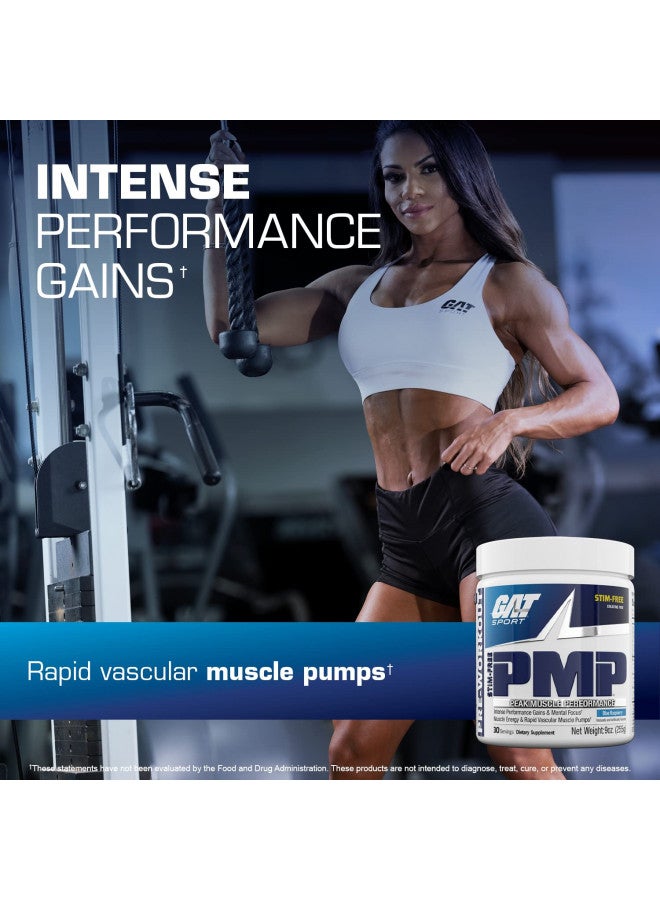 GAT Sport PMP (Peak Muscle Performance), Pre-Workout, 30 Servings (Blue Raspberry (Stim-Free))