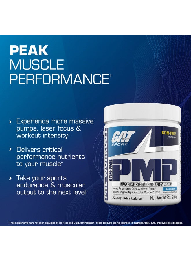 GAT Sport PMP (Peak Muscle Performance), Pre-Workout, 30 Servings (Blue Raspberry (Stim-Free))