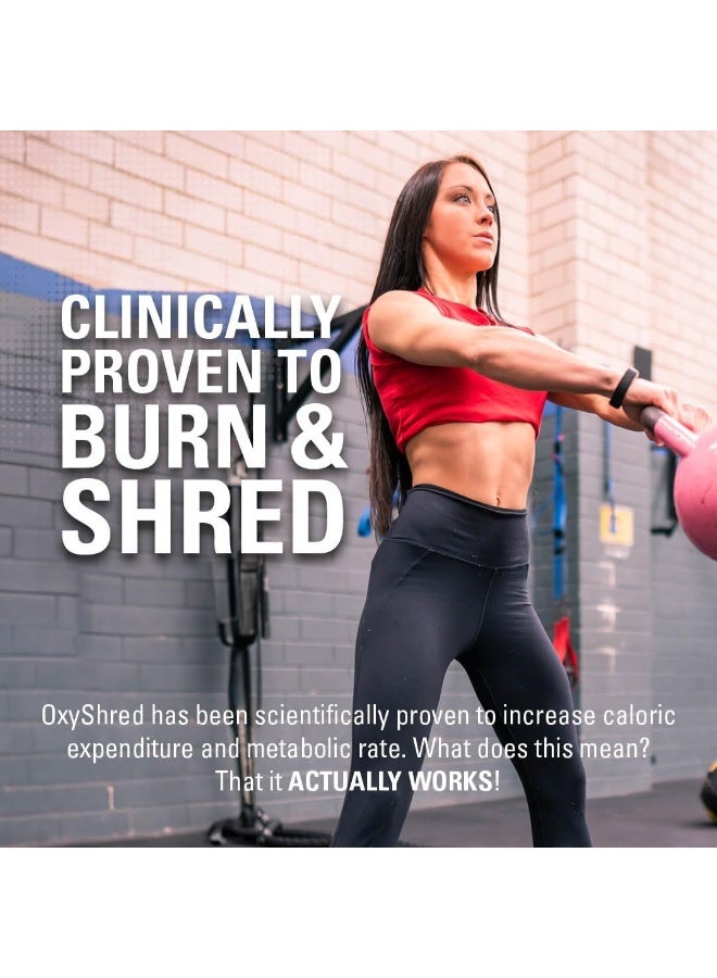 EHPlabs OxyShred Thermogenic Pre Workout Powder & Shredding Supplement - Clinically Proven Preworkout Powder with L Glutamine & Acetyl L Carnitine, Energy Boost Drink - Pink Grapefruit, 60 Servings
