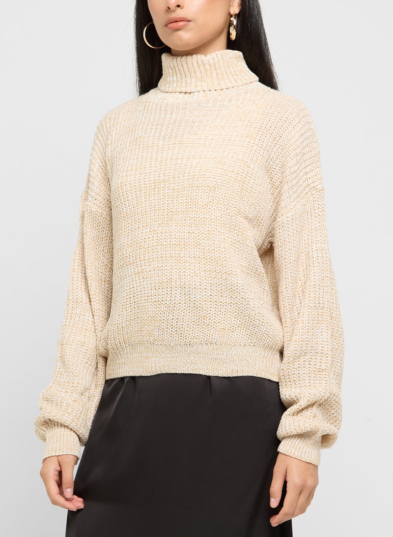 Turtle Neck Sweater