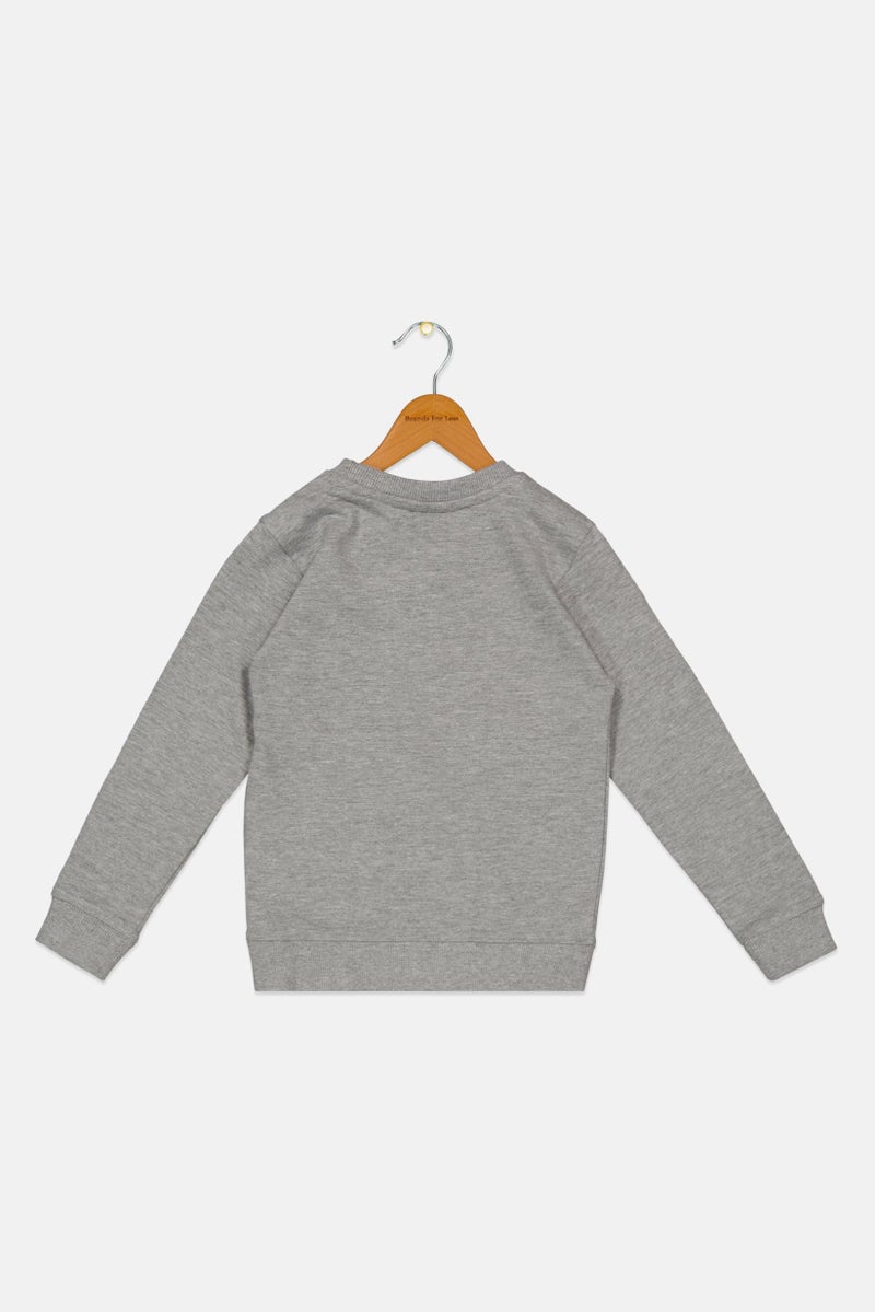 Toddlers Boy Embroidered Logo Sweatshirt, Grey