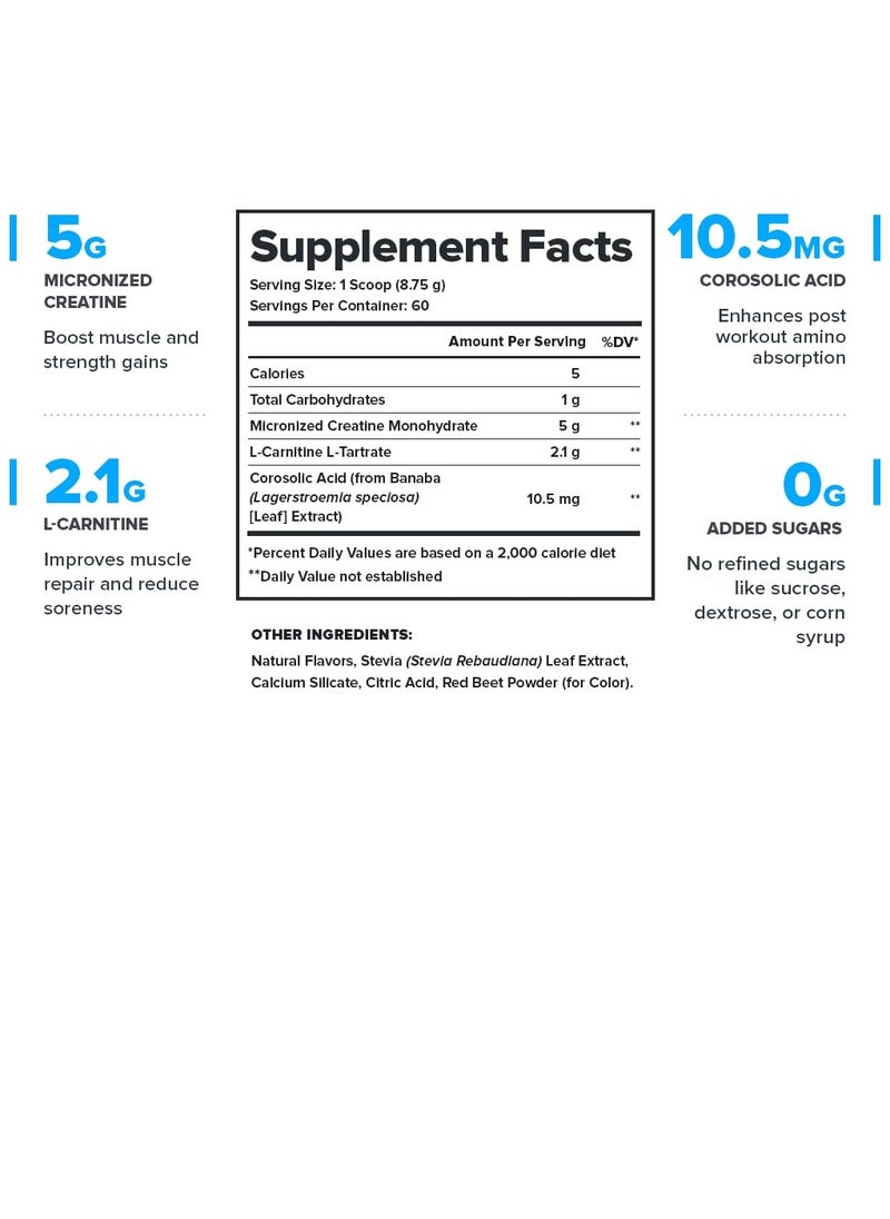 Recharge Post Workout Drink, Boosts Muscle growth and Recovery, 5g Micronized Creatine Monohydrate, 2.1g L-Carnitine and L-Tartrate, 552 g/1.22Lbs, 60 Servings - Strawberry Lemonade Flavor