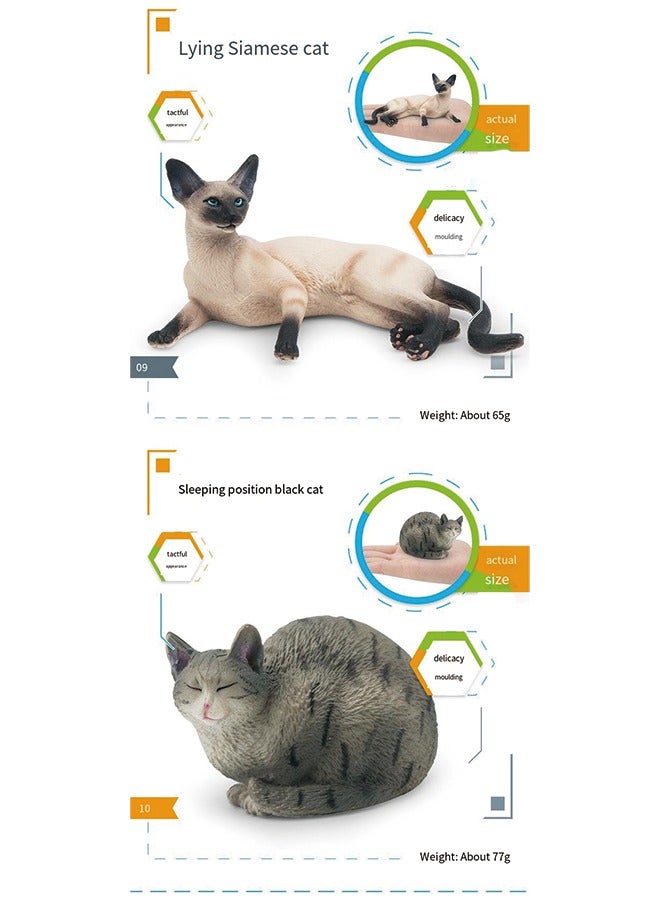 Children’s Realistic Cat Model Set – 10 Pieces (Ragdoll, Orange Cat, Gray Cat, Siamese Cat, and More) – Lazy Poses, Hand-Painted Animal Figurines – Eco-Friendly PVC Material – Lifelike Cat Decorations