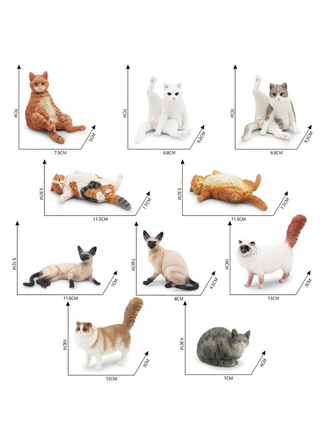 Children’s Realistic Cat Model Set – 10 Pieces (Ragdoll, Orange Cat, Gray Cat, Siamese Cat, and More) – Lazy Poses, Hand-Painted Animal Figurines – Eco-Friendly PVC Material – Lifelike Cat Decorations